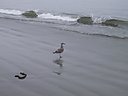 IMG_0080